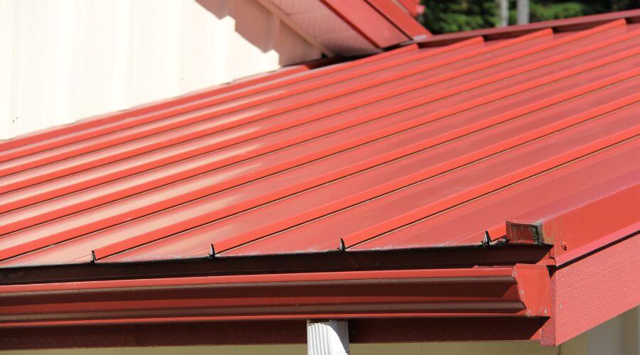 Professional gutter cleaning in Moore, ID